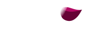 AVINA CONSEIL